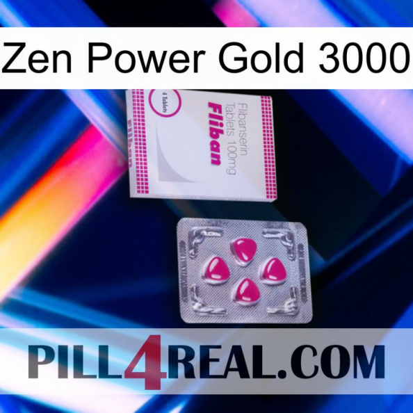 Zen Power Gold 3000 32.jpg